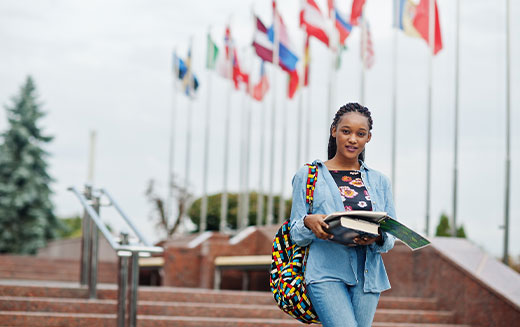 Visa Advisory Services | Expert Visa & Immigration Consultants